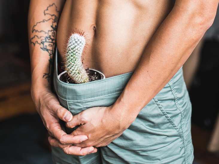 What Is an Erection? A First-Timer’s Guide to Getting Hard