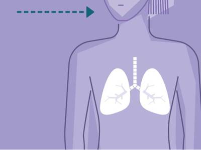 How Do the Lungs Work?