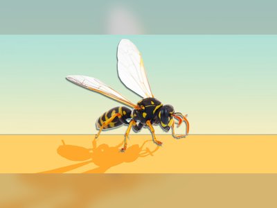Everything You Need to Know About Wasp Stings, According to Experts