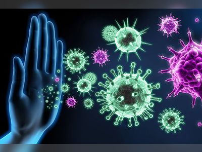 Symptoms of Immune System Problems