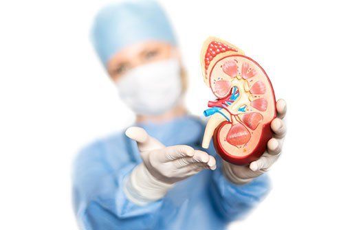 Can a Person Recover From Kidney Failure? Treatment