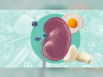 Kidney Disease Diet: 8 Foods That May Be Beneficial, According to Experts